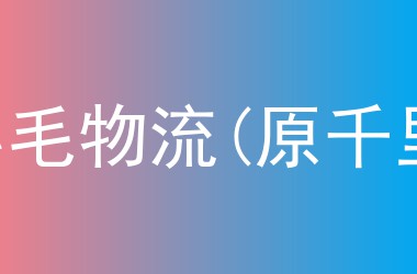 陈小毛物流(原千里马)
