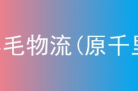 陈小毛物流(原千里马)