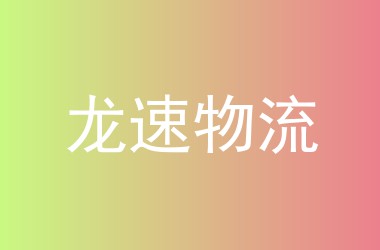 龙速物流