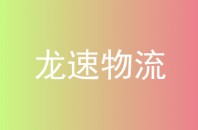龙速物流
